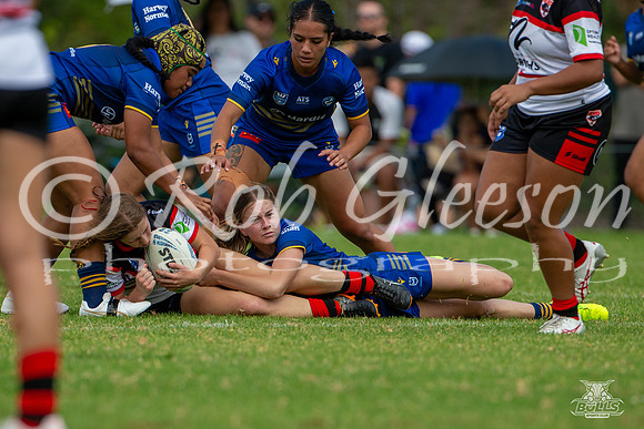 LFC - R2 - Bears v Eels_8