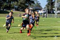 U6(5) R2 v Rouse Hill_4