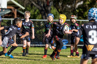 U7(2) - Neck Back Sports