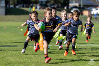 U6(5) R2 v Rouse Hill_3