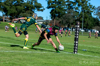 U13(1) - R6 - v Bankstown_011