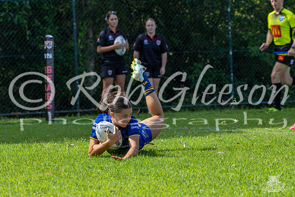 LFC - R2 - Bears v Eels_15