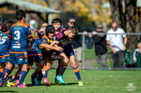 U10(1) R4 v Tigers_11