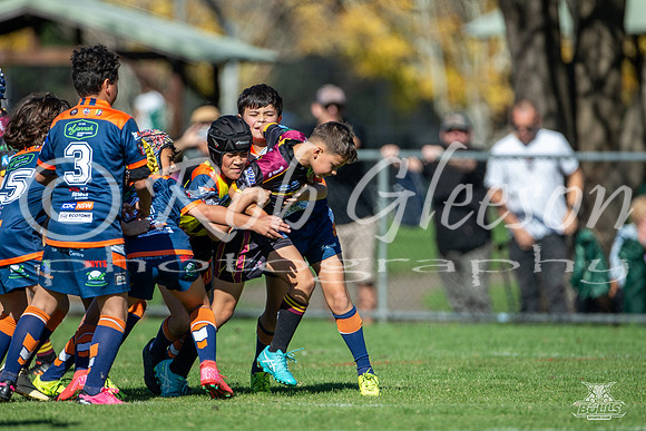 U10(1) R4 v Tigers_11