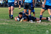 RMC - R12 - Hills v Brothers_3