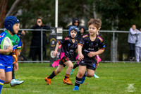 U6(3) - R5 v Titans_9