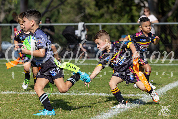 U6(5) R2 v Rouse Hill_16