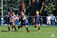 U9(3) R5 v Kellyville_16