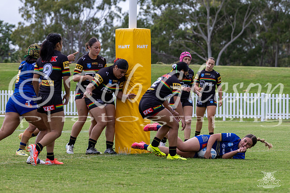 LFC - R6 - Eels v Panthers_1