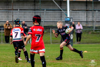 U8(3) - R5 v Kellyville_3
