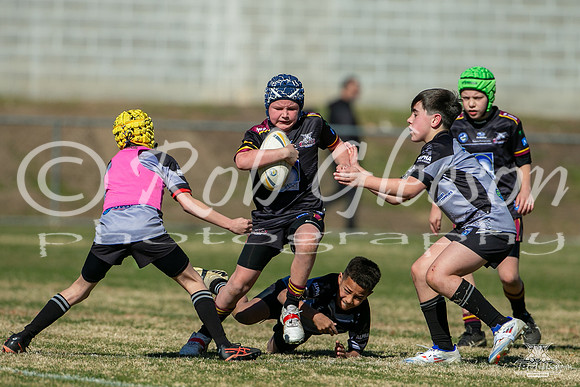 U10(1) R11 v Rouse Hill_17