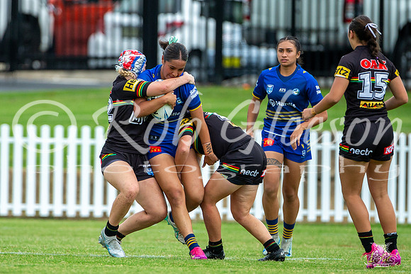 LFC - R6 - Eels v Panthers_33
