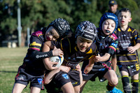 U7(1) R11 v Mounties_5