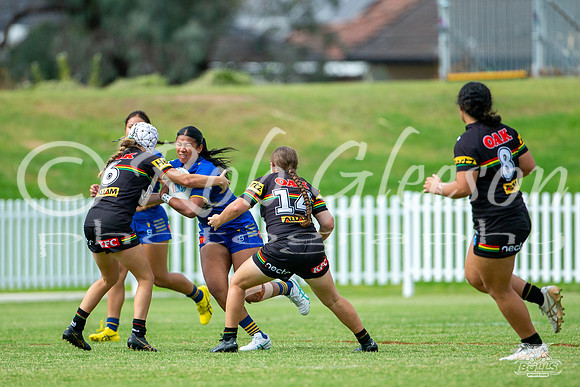 LFC - R6 - Eels v Panthers_41