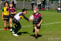 U8(2) R6 - Vs Mounties_010