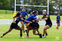LFC - R6 - Eels v Panthers_7