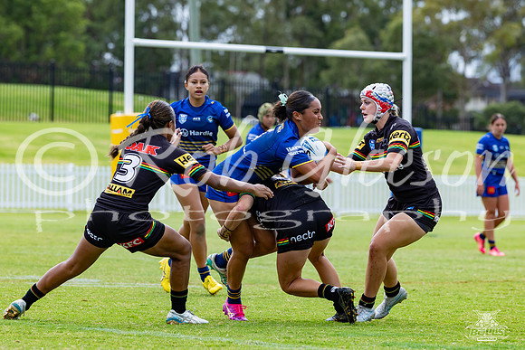 LFC - R6 - Eels v Panthers_7