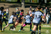 U11(1) R13 v Rouse Hill_2