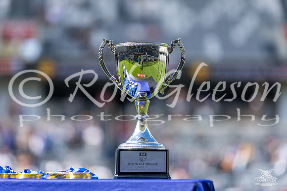 LFC - GF - Bulldogs v West Tigers_19