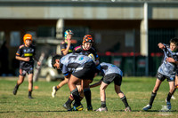 U11(1) R13 v Rouse Hill_8
