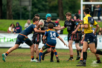U14(3) R12 v Tigers_5