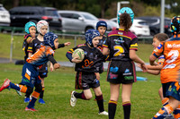 U7(3) R7 v AST Tigers_7