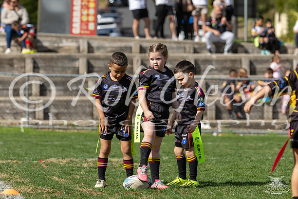 Gala Day_7