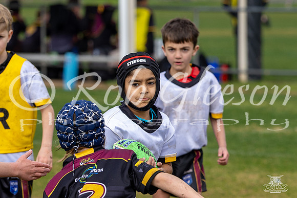 U8(2) R15 v U8(1)_48