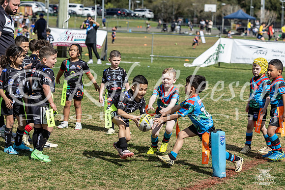Gala Day_101