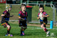 U6(1) R13 - v Kellyville_015