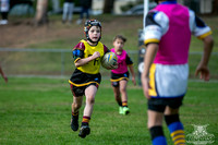 U9(2) R10 - Vs Fairfield_007