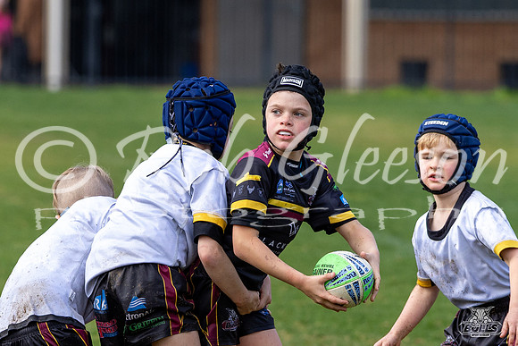 U8(2) R15 v U8(1)_28