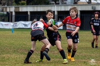 U9(3) R12 v Kellyville_22