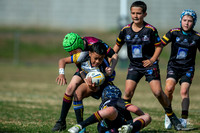 U10(1) R14 v Maulers_14