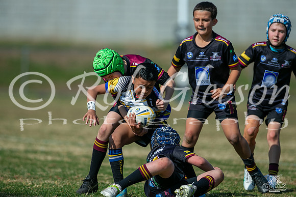 U10(1) R14 v Maulers_14