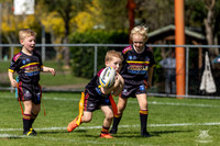 U6(1) R2 v Cabramatta_2