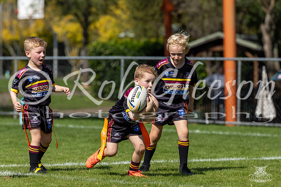 U6(1) R2 v Cabramatta_2