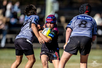 U12(1) R9 V Rouse Hill_16