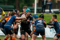 U14(3) R12 v Tigers_6