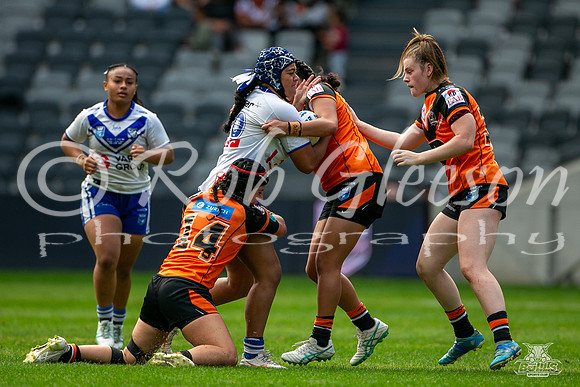 LFC - GF - Bulldogs v West Tigers_10
