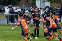 U7(3) R7 v AST Tigers_10