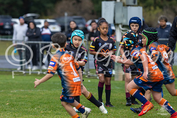 U7(3) R7 v AST Tigers_10