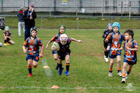 U7(3) R7 v AST Tigers_9