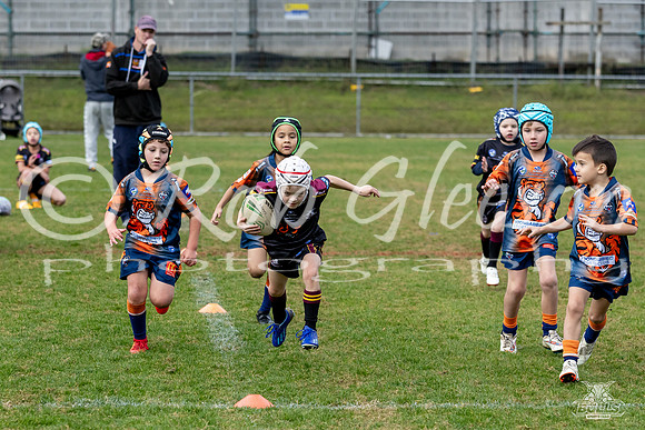 U7(3) R7 v AST Tigers_9