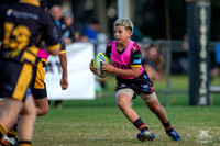 U11(1) R8 v Mounties_11