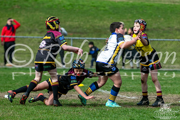 U9(2) R10 - Vs Fairfield_006