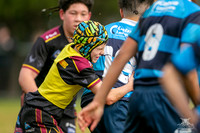 U12(1) R9 v Cabramatta_5