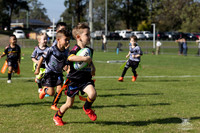 U6(5) R2 v Rouse Hill_5