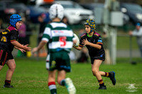 U10(2) R5 v Greystanes_6