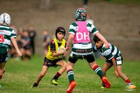 U10(2) R5 v Greystanes_18